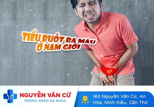 Tiểu Ra Máu Khám Ở Đâu Tại Cần Thơ