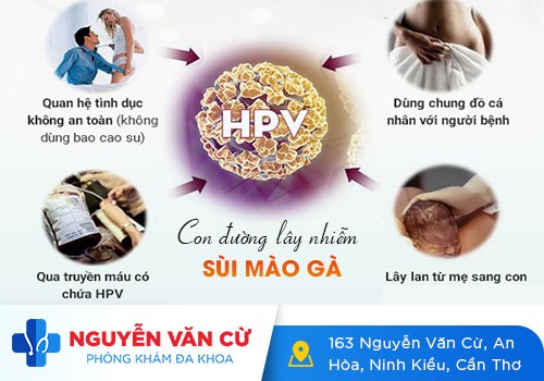 Nguyên Nhân Gây Ra Bệnh Sùi Mào Gà Là Gì?