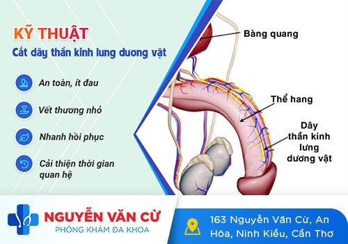 Có Nên Tự Chữa Xuất Tinh Sớm Tại Nhà? Phương Pháp Chữa Xuất Tinh Sớm Hiệu Qủa Nhất