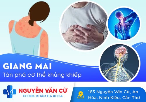 Bệnh giang mai nguy hiểm như thế nào, điều trị ra sao?