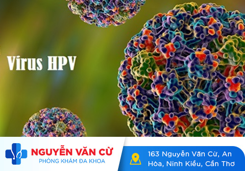 Virus HPV Là Gì? Nhận Biết HPV Như Thế Nào? Cách Xét Nghiệm HPV