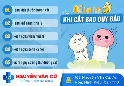 Cắt Bao Quy Đầu Vĩnh Long