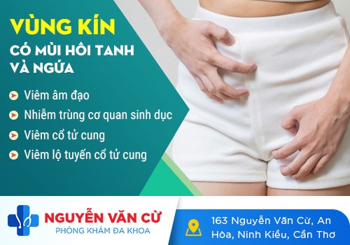 Nguyên nhân âm đạo có mùi hôi và cách điều trị hiệu quả