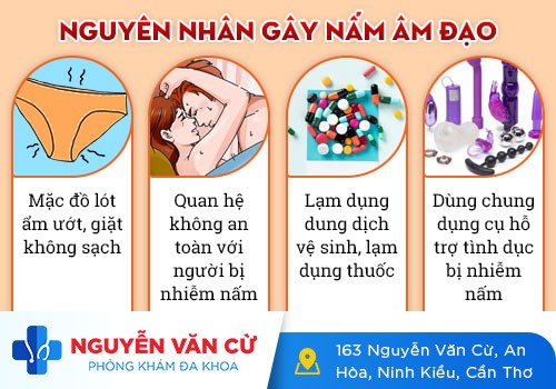 Nấm âm đạo: dấu hiệu và cách điều trị hiệu quả