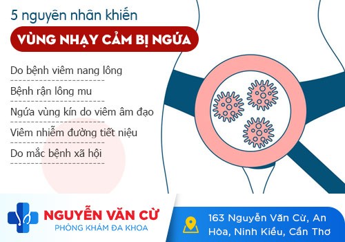 Ngứa vùng kín ở nữ giới: Nguyên nhân và cách điều trị