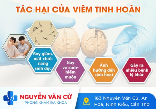 Sưng Đỏ Tinh Hoàn Là Triệu Chứng Của Bệnh Lý Gì?