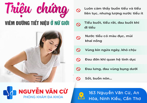 Dấu Hiệu Viêm Đường Tiết Niệu Ở Nữ