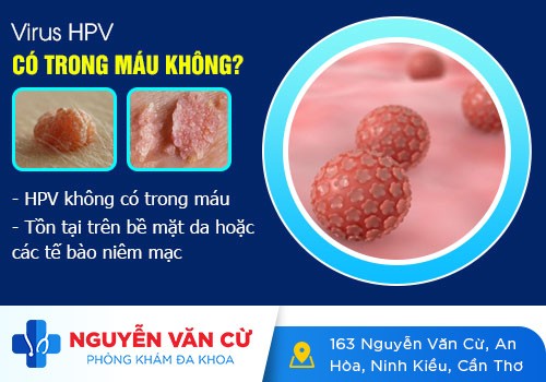 Chữa HPV Bằng Thuốc Có Hiệu Qủa? Phương Pháp Điều Trị HPV Hiệu Quả