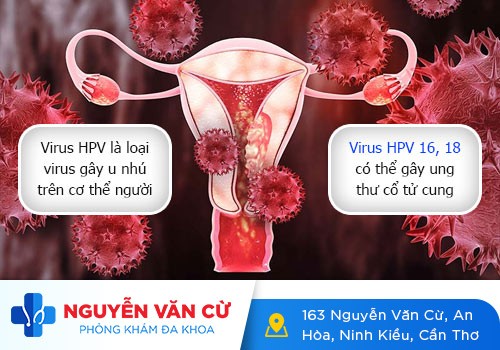 Nguyên Nhân Và Cách Điều Trị Sùi Mào Gà Ở Nữ Giới