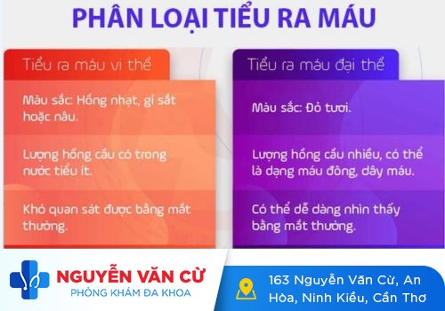 Tiểu ra máu ở nam và những cảnh báo nguy hiểm khó lường