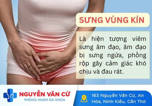 Sưng vùng kín là bệnh gì? Có nguy hiểm không?