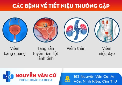 Đau lỗ tiểu: Nguyên nhân và cách điều trị