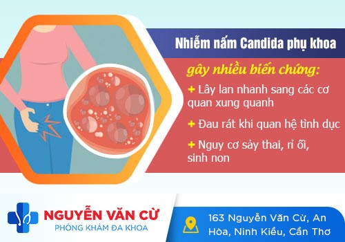 Nấm candida: Nguyên nhân, triệu chứng và cách khắc phục hiệu quả