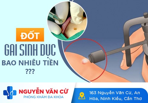 Bệnh Gai Sinh Dục Có Lây Không?