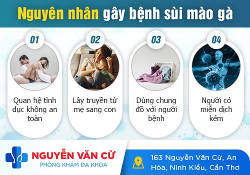 Các lý do bị sùi mào gà phổ biến bạn cần biết để phòng tránh