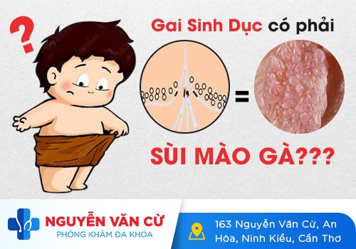 Bệnh Gai Sinh Dục Có Gây Ngứa Không?