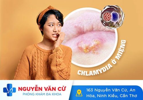 Chlamydia là gì? Có nguy hiểm không?