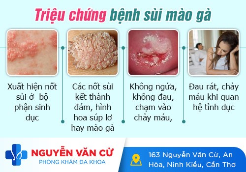 Dương Vật Nổi Hạch Nguyên Nhân Và Cách Điều Trị Hiệu Quả