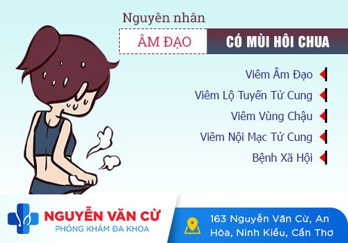 Nguyên nhân vùng kín bị hôi ở nữ