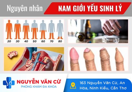 Yếu sinh lý là gì? Cách khắc phục yếu sinh lý hiệu quả
