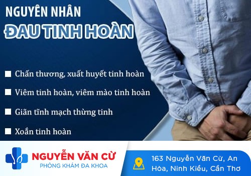 Đau Tức Dái Là Bị Gì? Điều Trị Như Thế Nào Hiệu Quả?