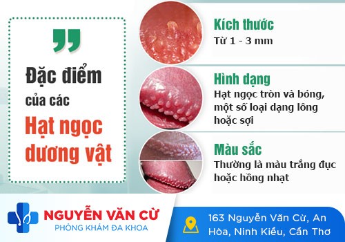 Nổi mẩn đỏ dương vật, nam thanh niên “ngã ngửa” khi nhận kết quả xét nghiệm