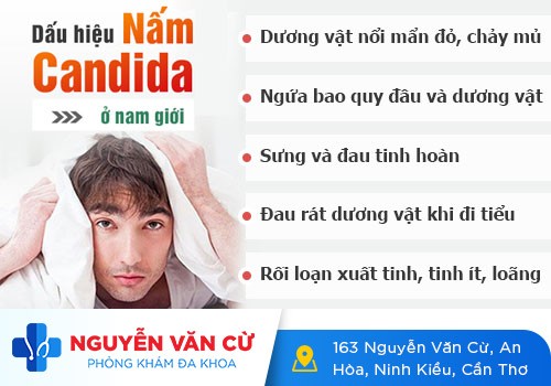 Nhận biết và điều trị nấm Candida nam hiệu quả