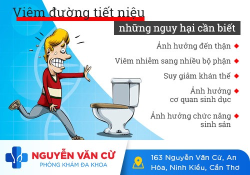 Thuốc Điều Trị Viêm Đường Tiết Niệu Nào Hiệu Quả?