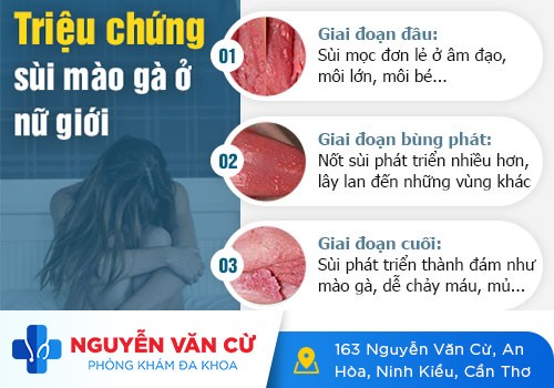 Vùng Kín Nữ Giới Nổi Mụn, Tưởng Viêm Nhiễm Bình Thường, Hóa Ra Là bệnh xã hội