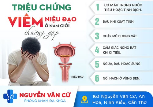 Ngứa Bên Trong Dương Vật Là Bị Gì? Làm Thế Nào Để Điều Trị?