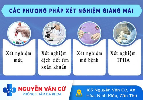 Xét Nghiệm Bệnh Giang Mai Hết Bao Nhiêu
